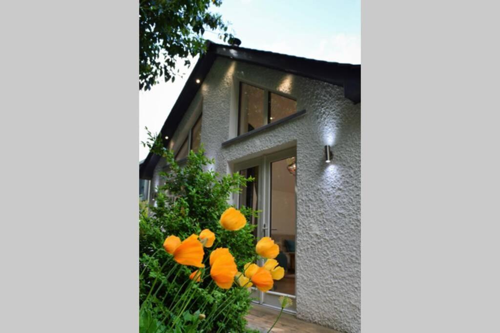 Ness Lodge 因弗内斯 外观 照片
